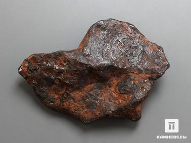 Метеориты. Метеорит Agoudal железный, 5х3,8х1 см