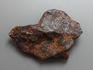 Метеорит Agoudal железный, 5х3,8х1 см, 10-184/26, фото 1