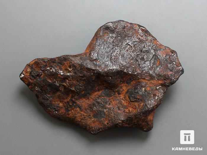 Метеорит Agoudal железный, 5х3,8х1 см, 10-184/26, фото 1