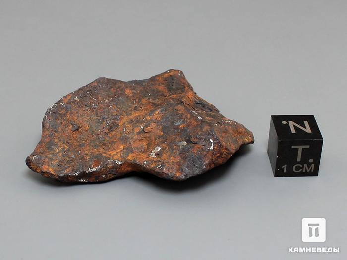 Метеорит Agoudal железный, 5х3,8х1 см, 10-184/26, фото 3