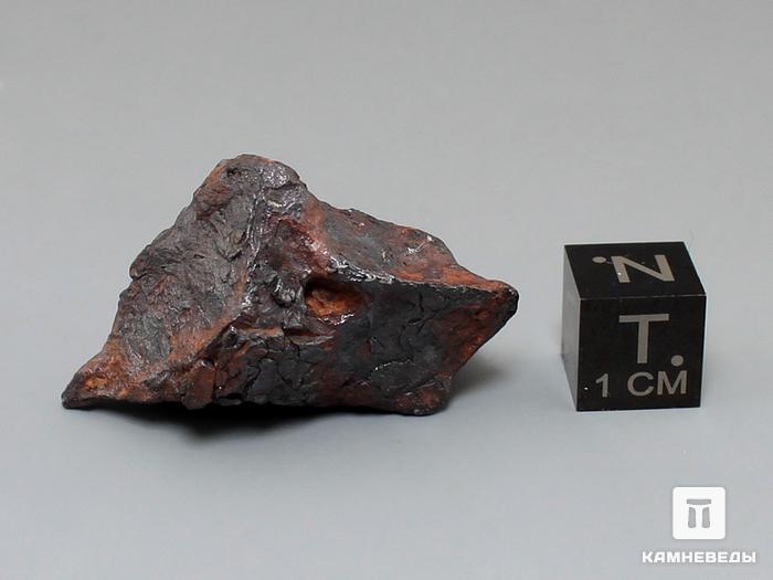 Метеорит Agoudal железный, 2,7х2,3х1,5 см, 10-184/25, фото 4