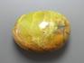 Хризопал, полированная галька 5х3,5 см, 12-189/13, фото 2