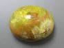 Хризопал, полированная галька 5х4,2 см, 12-189/24, фото 1