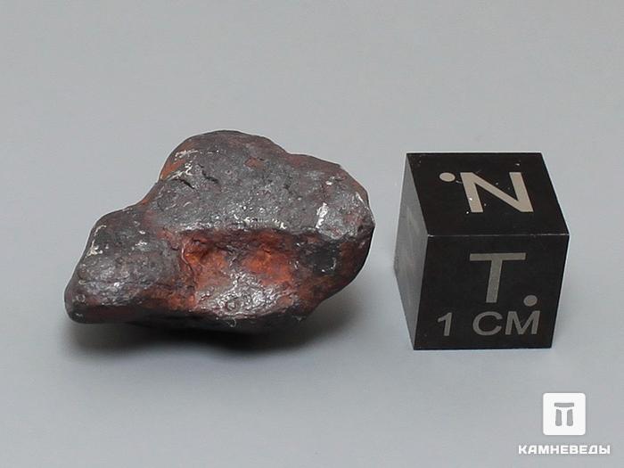 Метеорит Canyon Diablo железный, 2,2х1,6х1,1 см, 10-184/38, фото 3