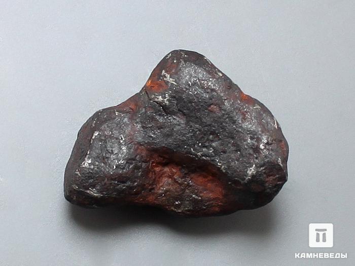 Метеорит Canyon Diablo железный, 2,2х1,6х1,1 см, 10-184/38, фото 1