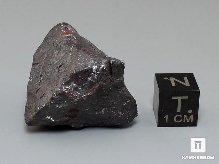 Метеорит Canyon Diablo железный, 2,7х2,6х2,3 см, 10-184/36, фото 3