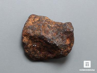 Метеориты. Метеорит Agoudal железный, 1,5-2 см