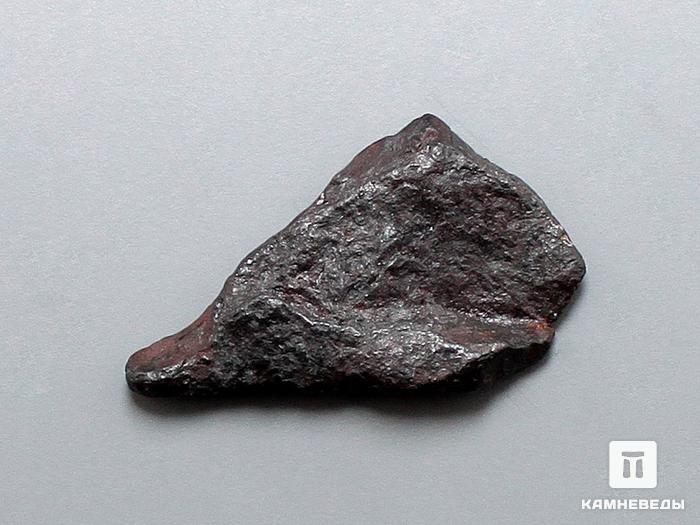 Метеорит Canyon Diablo железный, 2,4х1,5х0,4 см, 10-184/33, фото 2