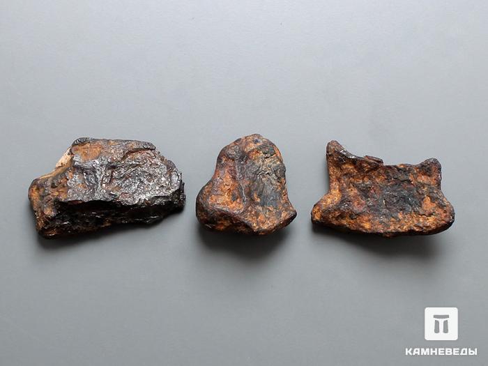 Метеорит Agoudal железный, 1,5-2,5 см, 10-184/19, фото 2