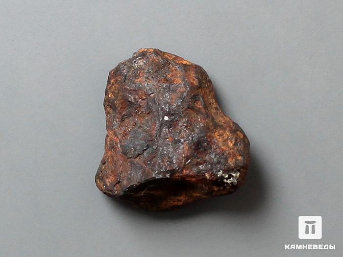 Метеорит Agoudal железный, 1,5-2,5 см, 10-184/19, фото 1