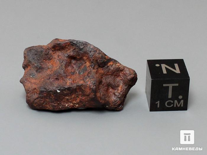 Метеорит Agoudal железный, 3,1х1,9х1 см, 10-184/22, фото 2
