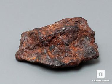 Метеориты. Метеорит Agoudal железный, 3,1х1,9х1 см