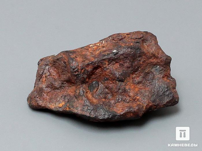 Метеорит Agoudal железный, 3,1х1,9х1 см, 10-184/22, фото 1