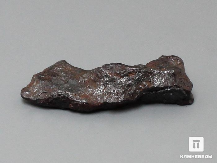 Метеорит Canyon Diablo железный, 3,9х1,6х0,7 см, 10-184/34, фото 1