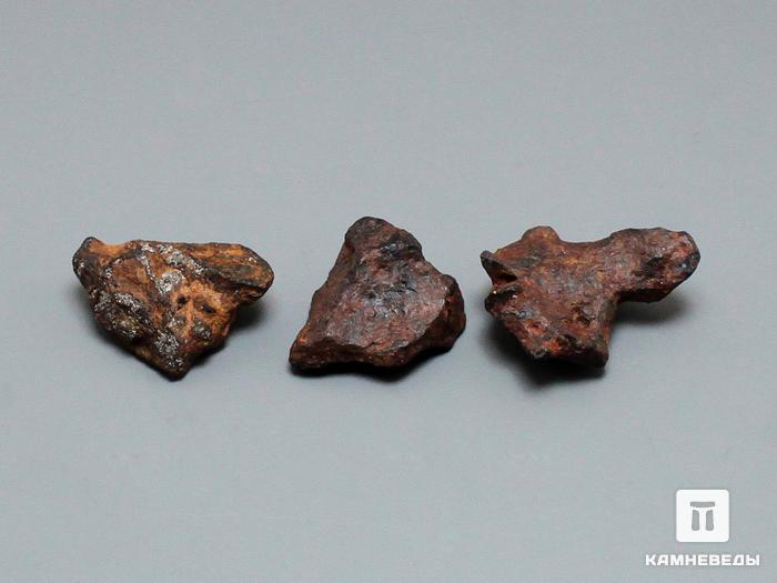 Метеорит Agoudal железный, 1,7х1,5 см, 10-184/20, фото 3
