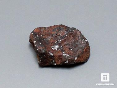 Метеориты. Метеорит Agoudal железный, 1,5х1,3 см
