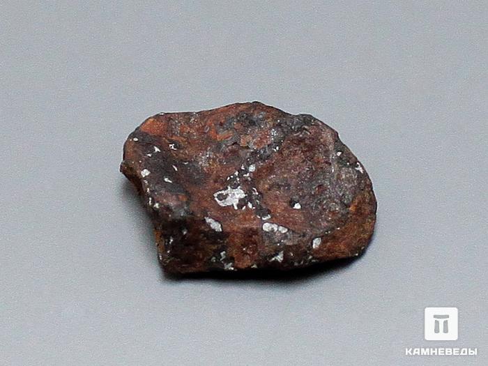 Метеорит Agoudal железный, 1,5х1,3 см, 10-184/18, фото 1