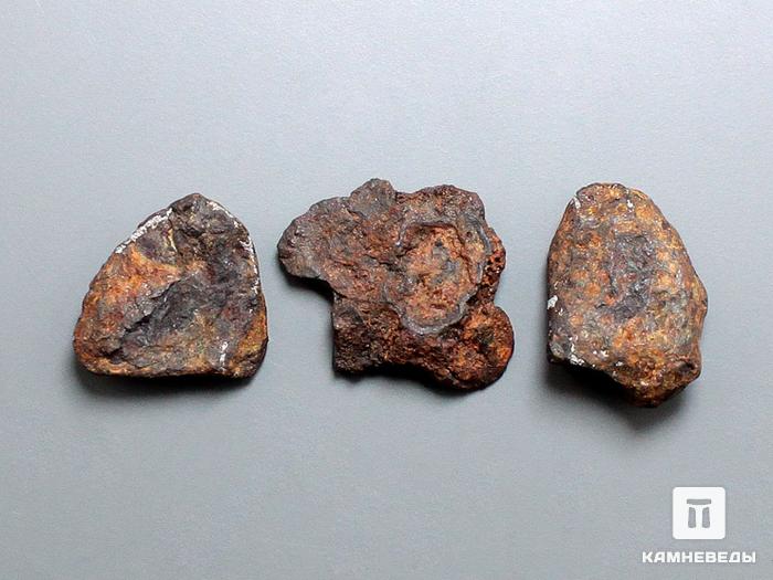 Метеорит Agoudal железный, 1,5х1,3 см, 10-184/18, фото 2
