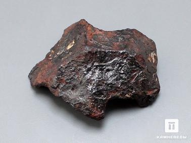 Метеориты. Метеорит Agoudal железный, 3,3х2,9х0,8 см