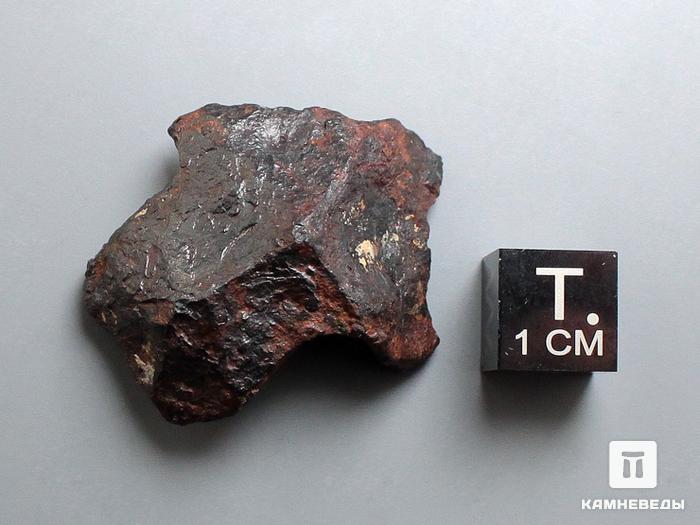 Метеорит Agoudal железный, 3,3х2,9х0,8 см, 10-184/23, фото 3