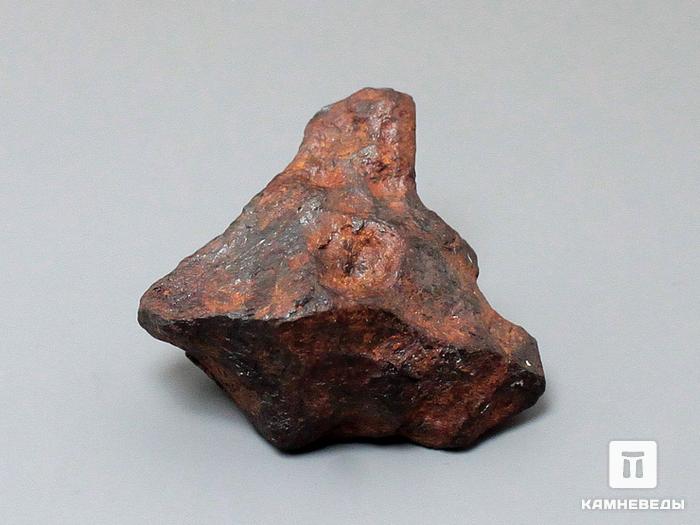 Метеорит Agoudal железный, 2,6х2,6х1,7 см, 10-184/24, фото 2