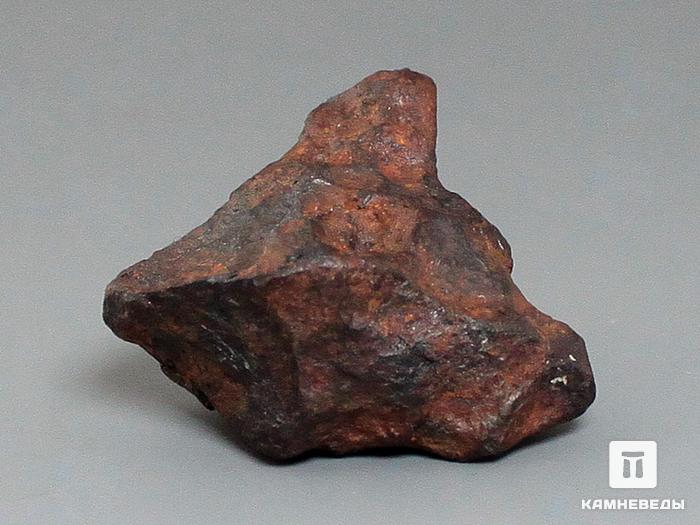 Метеорит Agoudal железный, 2,6х2,6х1,7 см, 10-184/24, фото 3