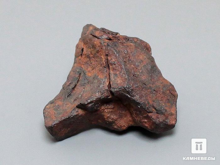 Метеорит Agoudal железный, 2,6х2,6х1,7 см, 10-184/24, фото 1