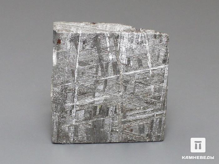 Метеорит Muonionalusta, 3х3х2,2 см, 10-185/12, фото 1