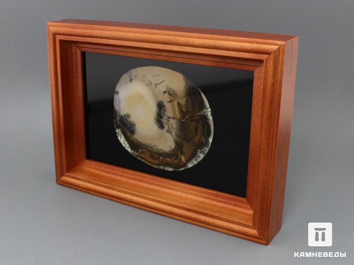 Дендритовый агат, полированный срез в деревянной раме, 97-18, фото 2