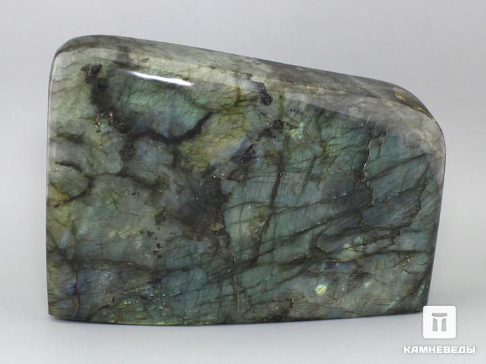 Лабрадор, полировка 16х11,6х4,4 см, 12-132/101, фото 4