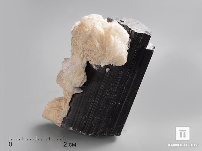 Турмалин (эльбаит) в альбите, 4,6х3,7х3,1 см, 10-77/6, фото 1
