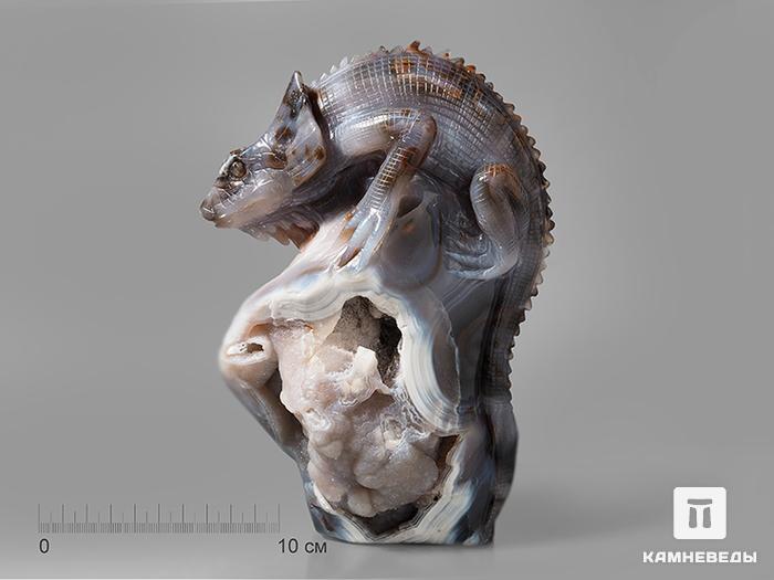 Игуана из агата с жеодой, 21х15х7 см, 23-39/16, фото 1