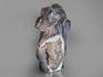 Игуана из агата с жеодой, 21х15х7 см, 23-39/16, фото 3