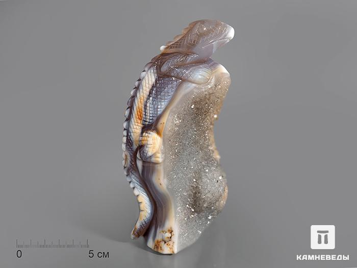 Игуана из агата с жеодой кварца, 15х7,7х6,7 см, 23-39/19, фото 1
