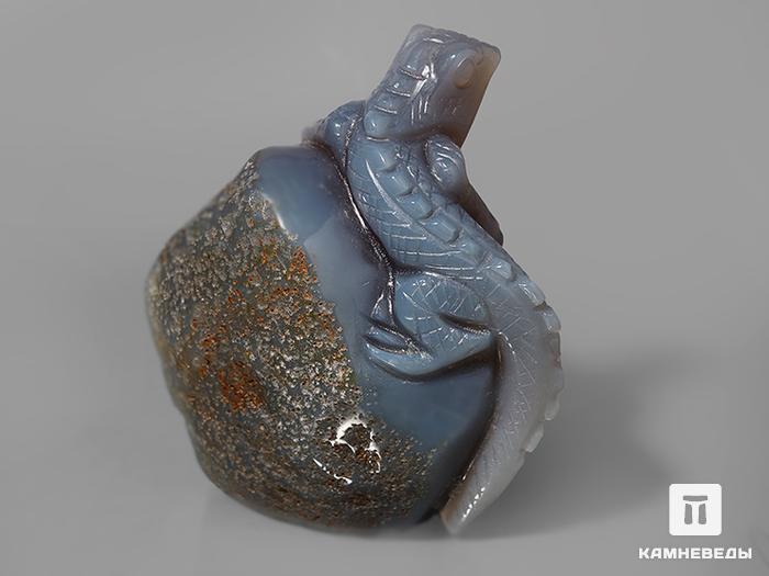 Игуана из агата с жеодой кварца, 9,7х8,6х5,6 см, 23-39/20, фото 3