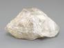 Кварц, скелетный кристалл, 7,4х5,6х3,4 см, 10-556/1, фото 2