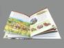 Книга: Л. В. Клюшник «Динозавры. Энциклопедия для детского сада», 50-91, фото 3