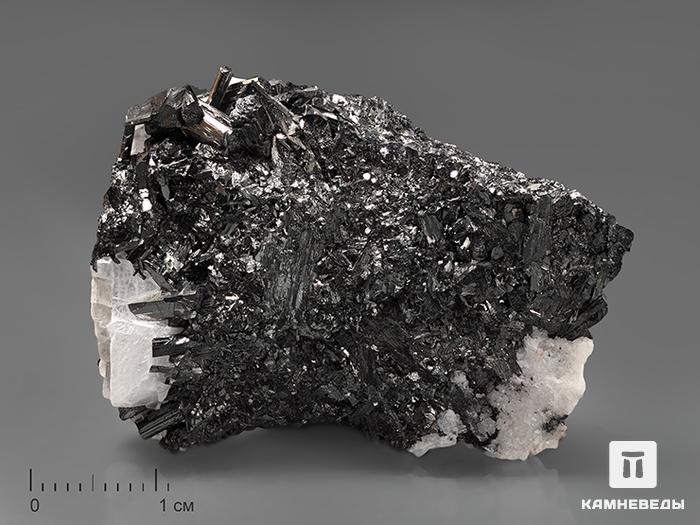 Манганит, 4,2х3,1х1,6 см, 10-582, фото 1