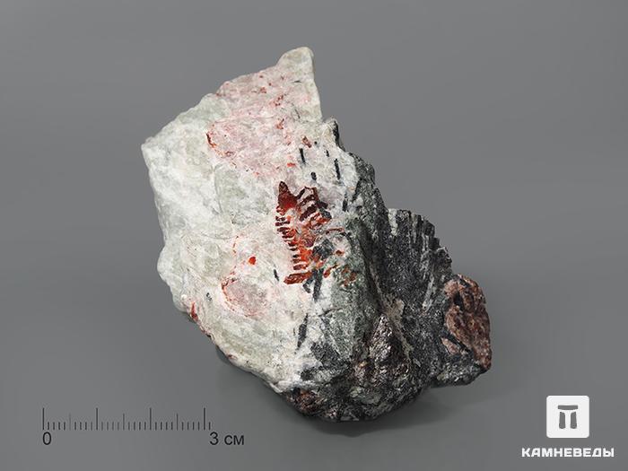 Виллиомит, скелетный кристалл 6,8х5х4,2 см, 10-195/17, фото 1