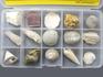 Коллекция палеонтологическая (15 образцов, состав №4), 102-6/3, фото 2
