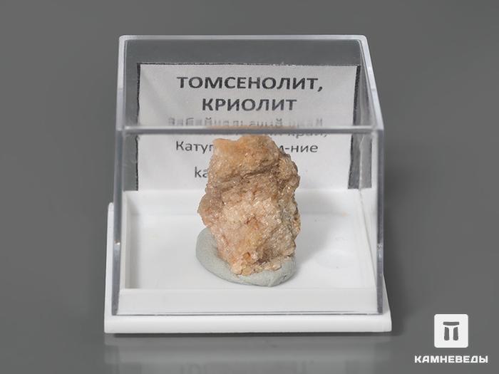 Томсенолит с криолитом, 1,8х1,5х1 см, 10-587, фото 2