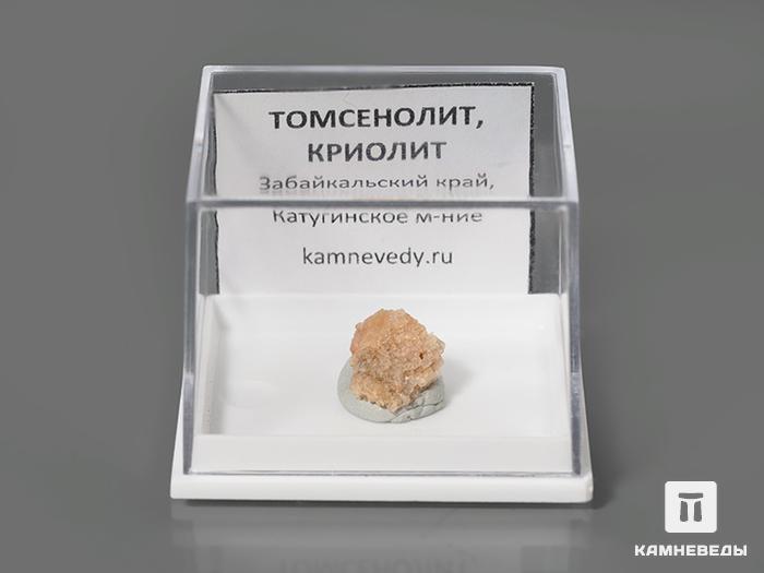 Томсенолит с криолитом, 1х1х0,7 см, 10-587/1, фото 2