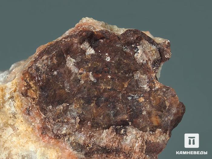 Гагаринит-(Y) с томсенолитом и криолитом, 5,2х3,4х2,1 см, 10-588, фото 2