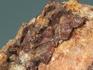 Гагаринит-(Y) с томсенолитом и криолитом, 5,2х3,3х2,2 см, 10-588/1, фото 2