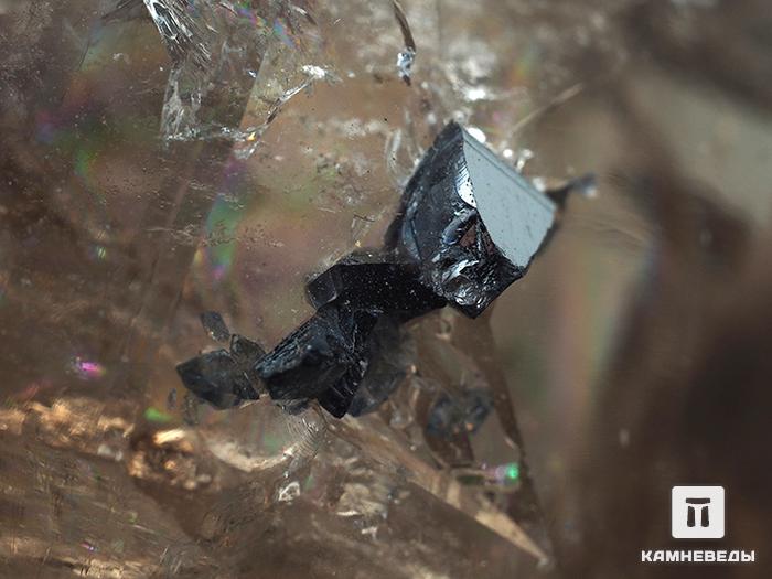 Анатаз на кристалле раухтопаза (дымчатого кварца), 7,5х3,8х3 см, 10-127/11, фото 2