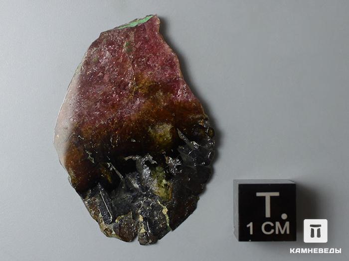 Турмалин (рубеллит), полированный срез 4,2х2,8х0,3 см, 11-6/18, фото 3