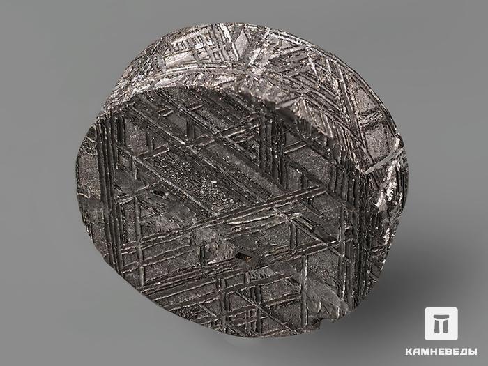 Метеорит Muonionalusta, 1,8х0,7 см, 10-185/14, фото 4