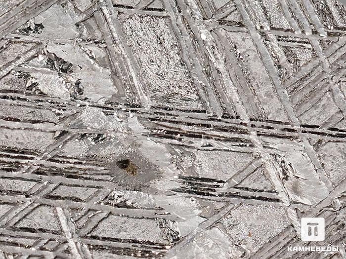 Метеорит Muonionalusta, 1,8х0,7 см, 10-185/14, фото 5