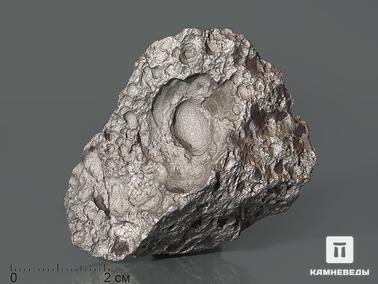 Метеориты. Метеорит Чинге, 6х4,8х2 см