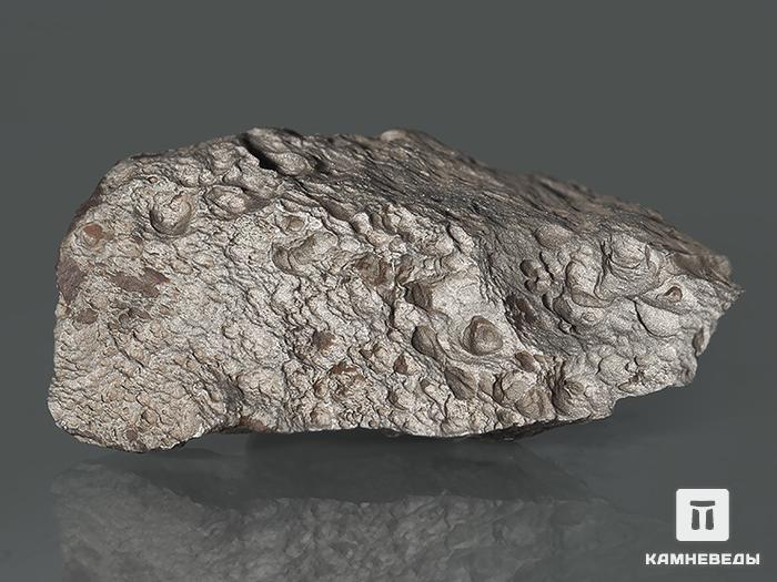 Метеорит Чинге, 5,5х3х1,8 см, 10-271/8, фото 2